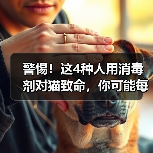 警惕!这4种人用消毒剂对猫致命,你可能每天都在误用!(图2) 警惕!这4种人用消毒剂对猫致命,你可能每天都在误用!(图2)