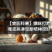 【宠医科普】猫咪打喷嚏流鼻涕但是精神很好怎么办？（图2）
