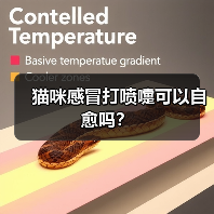 猫咪感冒打喷嚏可以自愈吗?(图1) 猫咪感冒打喷嚏可以自愈吗?(图1)