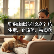 狗狗咳嗽吃什么药?抗生素、止咳药、祛痰药怎么选?(图2) 狗狗咳嗽吃什么药?抗生素、止咳药、祛痰药怎么选?(图2)