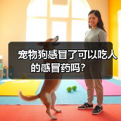 宠物狗感冒了可以吃人的感冒药吗?(图2) 宠物狗感冒了可以吃人的感冒药吗?(图2)