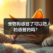 宠物狗感冒了可以吃人的感冒药吗?(图3) 宠物狗感冒了可以吃人的感冒药吗?(图3)