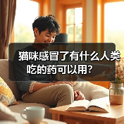 猫咪感冒了有什么人类吃的药可以用?(图3) 猫咪感冒了有什么人类吃的药可以用?(图3)