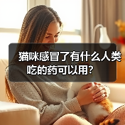 猫咪感冒了有什么人类吃的药可以用?(图4) 猫咪感冒了有什么人类吃的药可以用?(图4)
