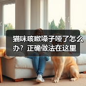 猫咪咳嗽嗓子哑了怎么办？正确做法在这里（图2）
