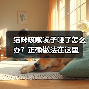 猫咪咳嗽嗓子哑了怎么办？正确做法在这里（图1）