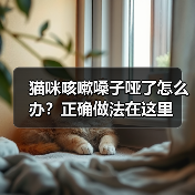 猫咪咳嗽嗓子哑了怎么办？正确做法在这里（图4）