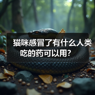 猫咪感冒了有什么人类吃的药可以用?(图2) 猫咪感冒了有什么人类吃的药可以用?(图2)