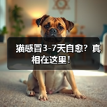 猫感冒3-7天自愈?真相在这里!(图3) 猫感冒3-7天自愈?真相在这里!(图3)