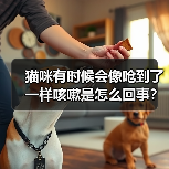 猫咪有时候会像呛到了一样咳嗽是怎么回事?(图4) 猫咪有时候会像呛到了一样咳嗽是怎么回事?(图4)