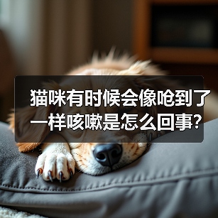 猫咪有时候会像呛到了一样咳嗽是怎么回事?(图2) 猫咪有时候会像呛到了一样咳嗽是怎么回事?(图2)
