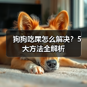 狗狗吃屎怎么解决?5大方法全解析(图4) 狗狗吃屎怎么解决?5大方法全解析(图4)