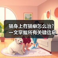 猫身上有猫癣怎么治?一文掌握所有关键信息(图4) 猫身上有猫癣怎么治?一文掌握所有关键信息(图4)