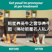 明星养英牛之奢华养牛圈（揭秘明星名人私人养牛场，探寻明星养牛的奢华与乐趣）