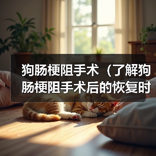 狗肠梗阻手术（了解狗肠梗阻手术后的恢复时间以及关键因素，让你的宠物更快康复）（图4）