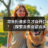 龙鱼拒食多久才会开口？（探索龙鱼食欲丧失的时间界限）