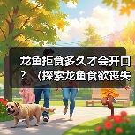 龙鱼拒食多久才会开口?(探索龙鱼食欲丧失的时间界限)(图3) 龙鱼拒食多久才会开口?(探索龙鱼食欲丧失的时间界限)(图3)