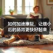 如何加速康复,让细小后的肠胃更快好起来(掌握这些关键方法,帮助您迅速恢复肠胃健康)(图2) 如何加速康复,让细小后的肠胃更快好起来(掌握这些关键方法,帮助您迅速恢复肠胃健康)(图2)