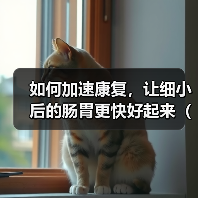 如何加速康复,让细小后的肠胃更快好起来(掌握这些关键方法,帮助您迅速恢复肠胃健康)(图4) 如何加速康复,让细小后的肠胃更快好起来(掌握这些关键方法,帮助您迅速恢复肠胃健康)(图4)