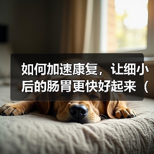 如何加速康复，让细小后的肠胃更快好起来（掌握这些关键方法，帮助您迅速恢复肠胃健康）