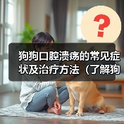 狗狗口腔溃疡的常见症状及治疗方法(了解狗狗口腔溃疡症状,及时治疗)(图4) 狗狗口腔溃疡的常见症状及治疗方法(了解狗狗口腔溃疡症状,及时治疗)(图4)