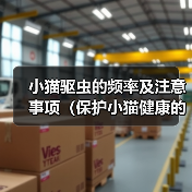 小猫驱虫的频率及注意事项（保护小猫健康的关键措施、体内外驱虫的正确时间表）（图4）