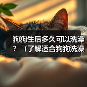 狗狗生后多久可以洗澡?(了解适合狗狗洗澡的最佳时间及注意事项)(图2) 狗狗生后多久可以洗澡?(了解适合狗狗洗澡的最佳时间及注意事项)(图2)