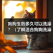 狗狗生后多久可以洗澡?(了解适合狗狗洗澡的最佳时间及注意事项)(图3) 狗狗生后多久可以洗澡?(了解适合狗狗洗澡的最佳时间及注意事项)(图3)
