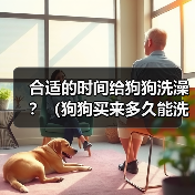 合适的时间给狗狗洗澡？（狗狗买来多久能洗澡？）