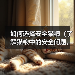 如何选择安全猫粮(了解猫粮中的安全问题,保护你的猫咪健康)(图4) 如何选择安全猫粮(了解猫粮中的安全问题,保护你的猫咪健康)(图4)
