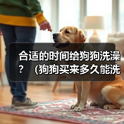 合适的时间给狗狗洗澡？（狗狗买来多久能洗澡？）（图4）