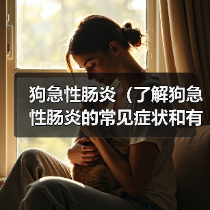 狗急性肠炎（了解狗急性肠炎的常见症状和有效的治疗方法）