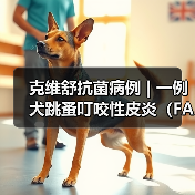 克维舒抗菌病例 | 一例犬跳蚤叮咬性皮炎（FAD）的病例分析（图1）