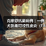 克维舒抗菌病例 | 一例犬跳蚤叮咬性皮炎（FAD）的病例分析（图3）