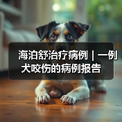 海泊舒治疗病例 | 一例犬咬伤的病例报告(图4) 海泊舒治疗病例 | 一例犬咬伤的病例报告(图4)