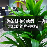 海泊舒治疗病例 | 一例犬咬伤的病例报告(图2) 海泊舒治疗病例 | 一例犬咬伤的病例报告(图2)