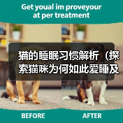 猫的睡眠习惯解析(探索猫咪为何如此爱睡及其对生活的影响)(图3) 猫的睡眠习惯解析(探索猫咪为何如此爱睡及其对生活的影响)(图3)