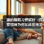 猫的睡眠习惯解析(探索猫咪为何如此爱睡及其对生活的影响)(图1) 猫的睡眠习惯解析(探索猫咪为何如此爱睡及其对生活的影响)(图1)