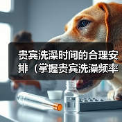 贵宾洗澡时间的合理安排（掌握贵宾洗澡频率，让毛发更健康）（图2）