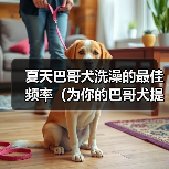 夏天巴哥犬洗澡的最佳频率（为你的巴哥犬提供清爽的夏日护理）（图3）