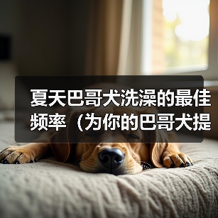 夏天巴哥犬洗澡的最佳频率（为你的巴哥犬提供清爽的夏日护理）