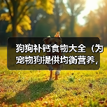 狗狗补钙食物大全（为宠物狗提供均衡营养，助其健康成长）