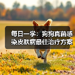 每日一学:狗狗真菌感染皮肤病最佳治疗方案(图4) 每日一学:狗狗真菌感染皮肤病最佳治疗方案(图4)