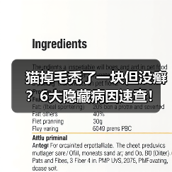 猫掉毛秃了一块但没癣?6大隐藏病因速查!(图1) 猫掉毛秃了一块但没癣?6大隐藏病因速查!(图1)