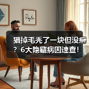 猫掉毛秃了一块但没癣?6大隐藏病因速查!(图2) 猫掉毛秃了一块但没癣?6大隐藏病因速查!(图2)