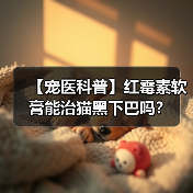 【宠医科普】红霉素软膏能治猫黑下巴吗？（图2）