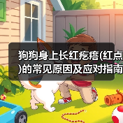 狗狗身上长红疙瘩(红点)的常见原因及应对指南(图4) 狗狗身上长红疙瘩(红点)的常见原因及应对指南(图4)