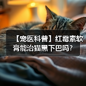 【宠医科普】红霉素软膏能治猫黑下巴吗？（图3）