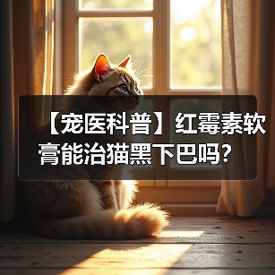 【宠医科普】红霉素软膏能治猫黑下巴吗？（图1）