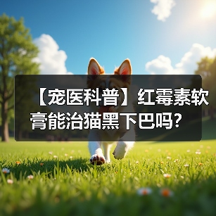 【宠医科普】红霉素软膏能治猫黑下巴吗？（图4）